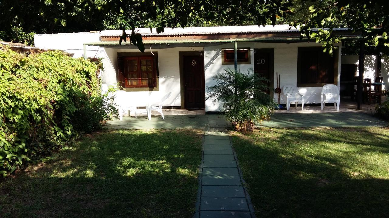 Troncos * Ituzaingo (Corrientes)