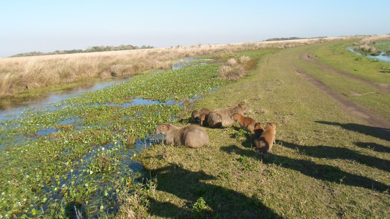 Lodge Troncos Ituzaingo (Corrientes)