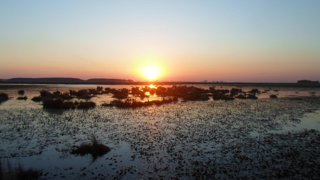 Troncos * Ituzaingo (Corrientes)